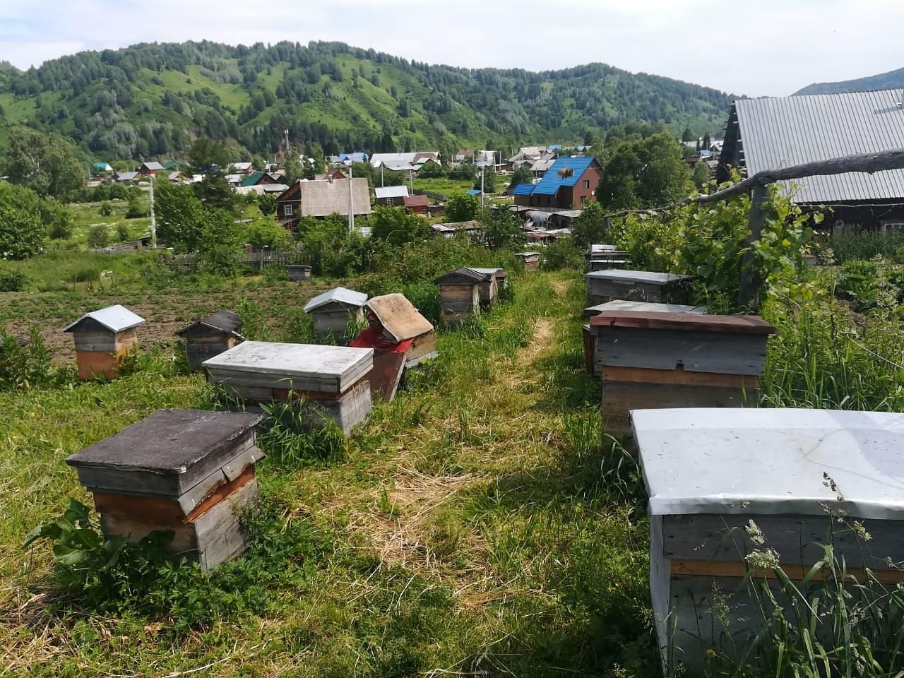 Карчитский замок+Пасека. Приключение на моторной лодке.